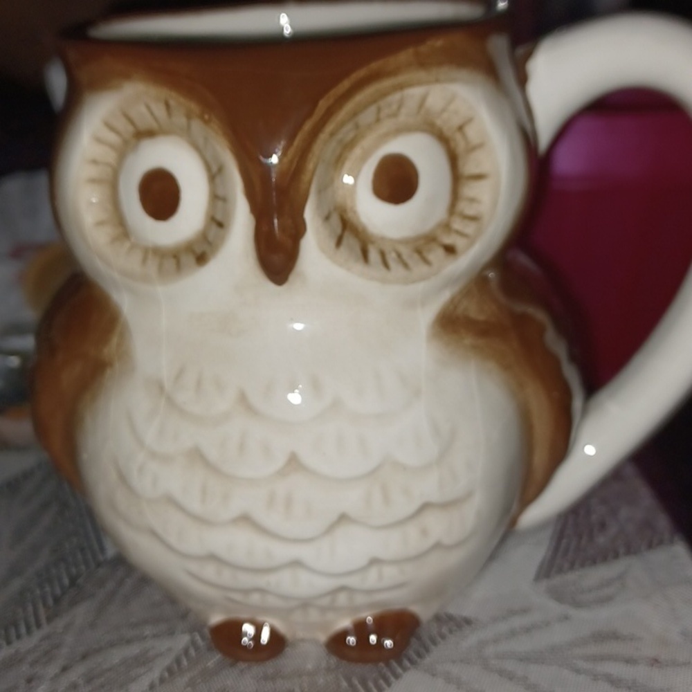 World Market Peak a Boo Owl Mug